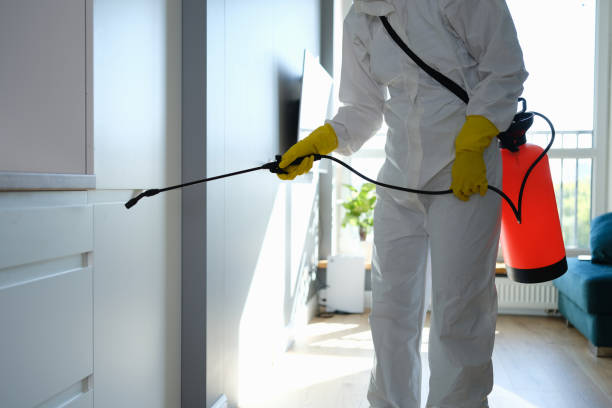 Best HVAC Mold Remediation in Bloomfield, MO
